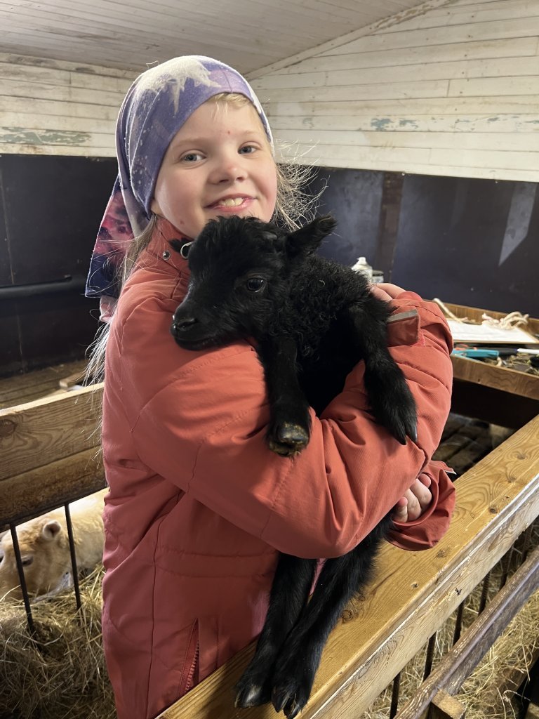 Heimsókn í fjárhúsin, 3. bekkur