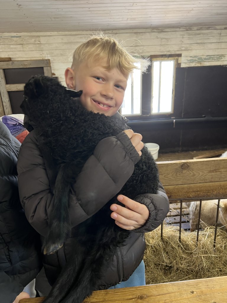 Heimsókn í fjárhúsin, 3. bekkur