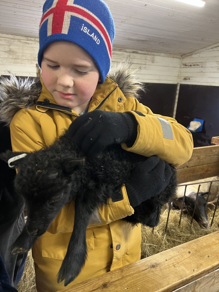 Heimsókn í fjárhúsin, 3. bekkur