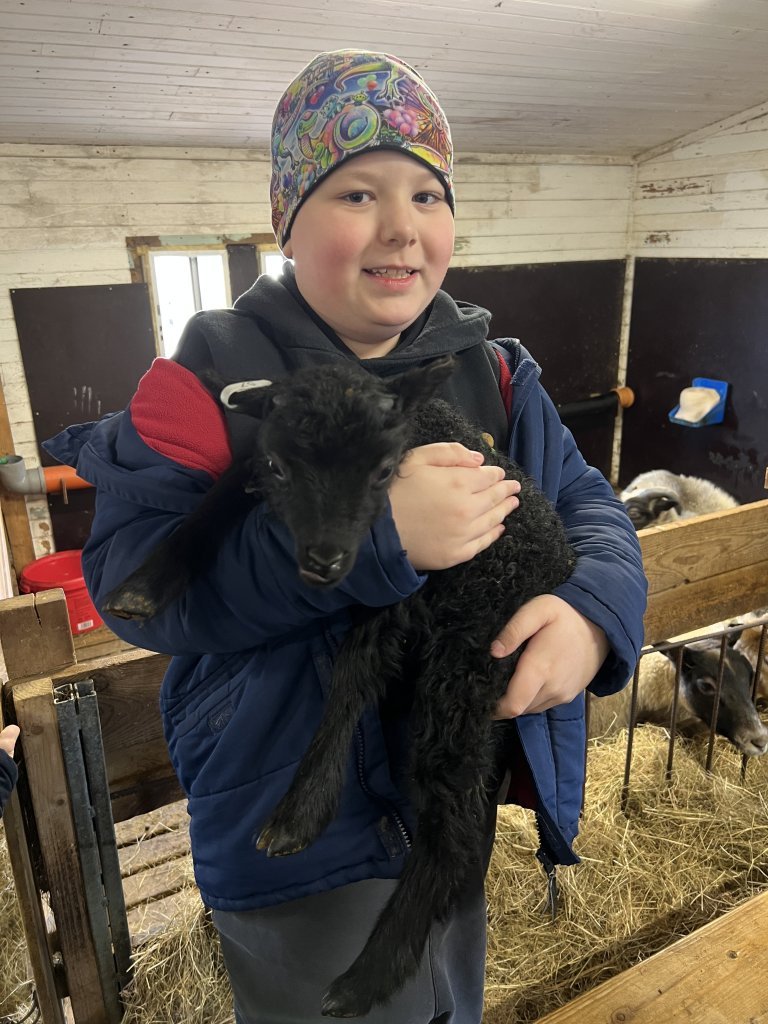 Heimsókn í fjárhúsin, 3. bekkur