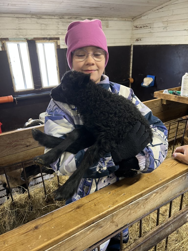 Heimsókn í fjárhúsin, 3. bekkur