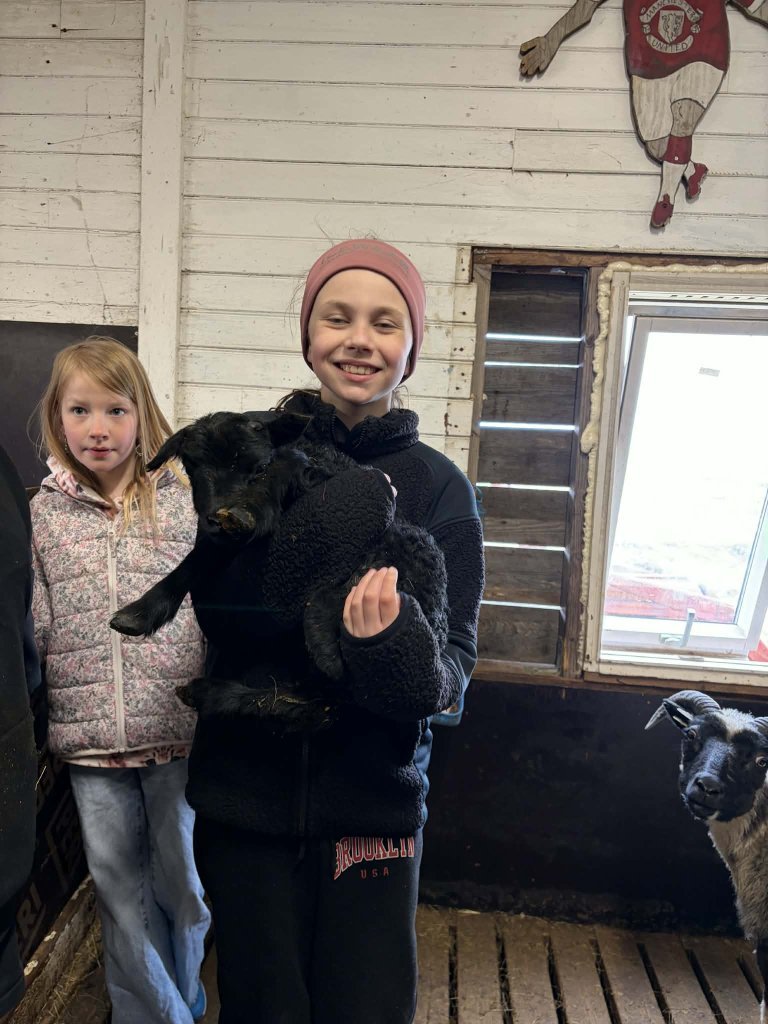 Heimsókn í fjárhúsin, 4. bekkur