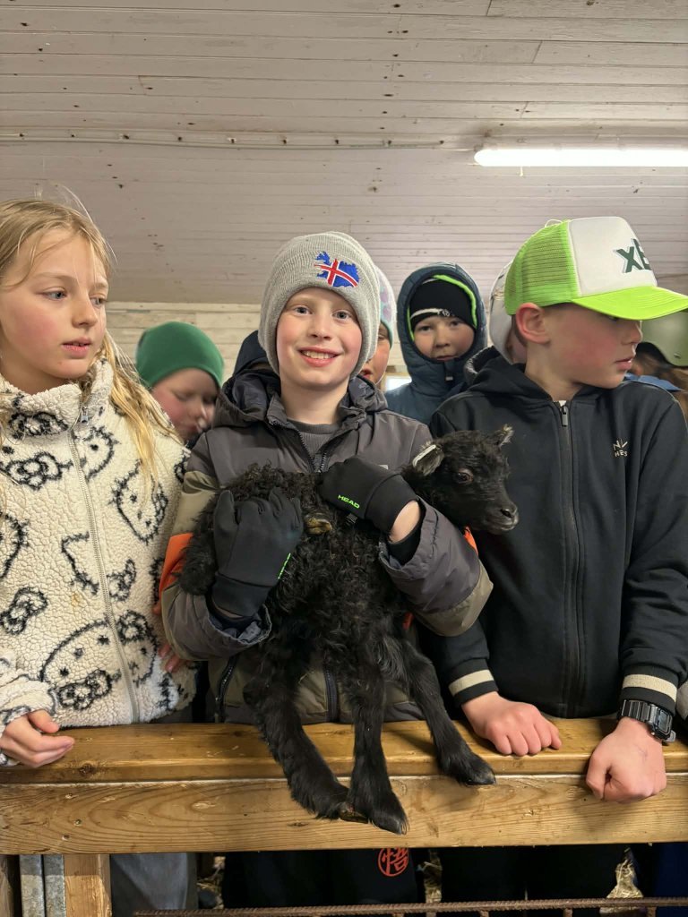 Heimsókn í fjárhúsin, 4. bekkur
