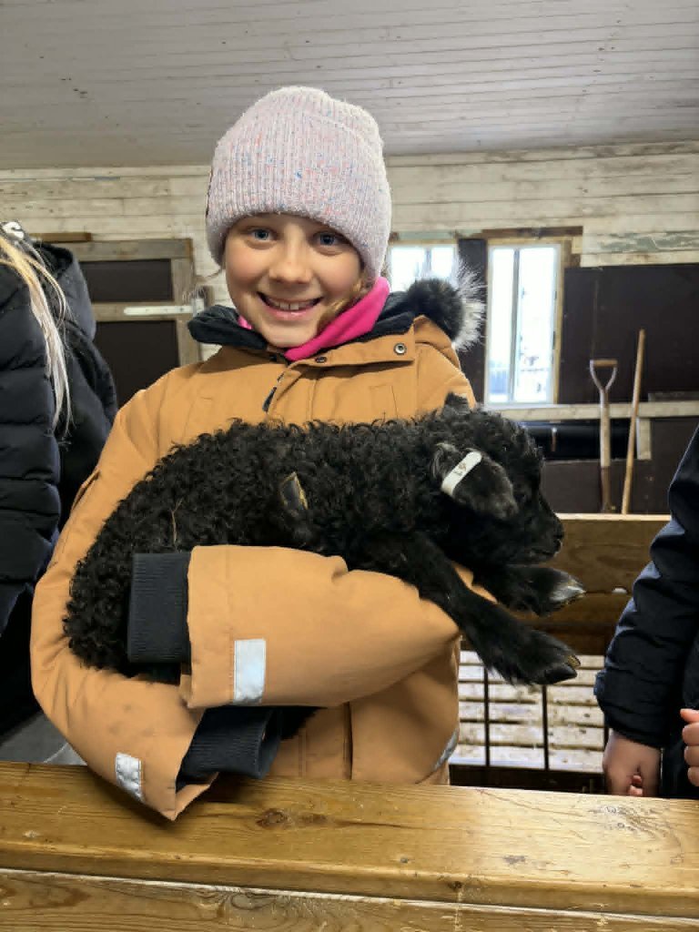 Heimsókn í fjárhúsin, 4. bekkur
