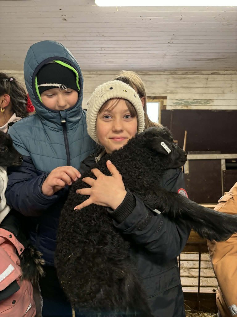 Heimsókn í fjárhúsin, 4. bekkur