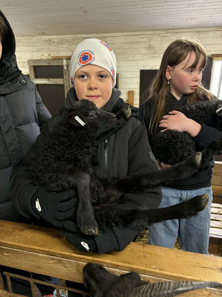 Heimsókn í fjárhúsin, 4. bekkur