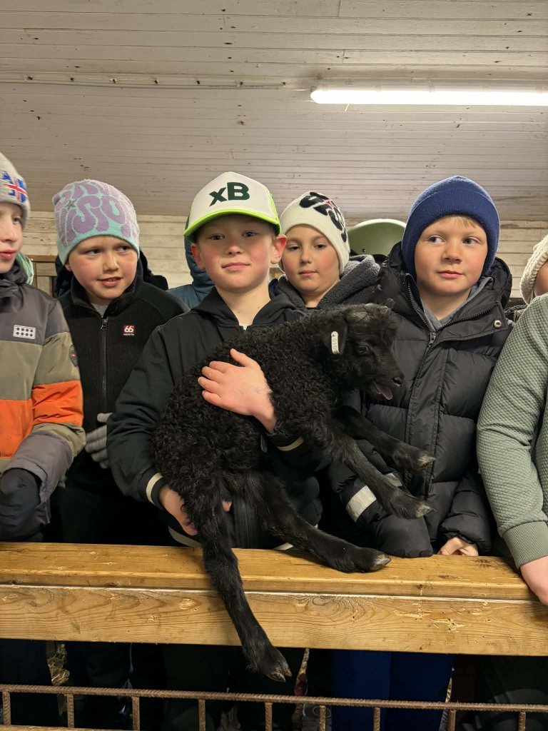 Heimsókn í fjárhúsin, 4. bekkur