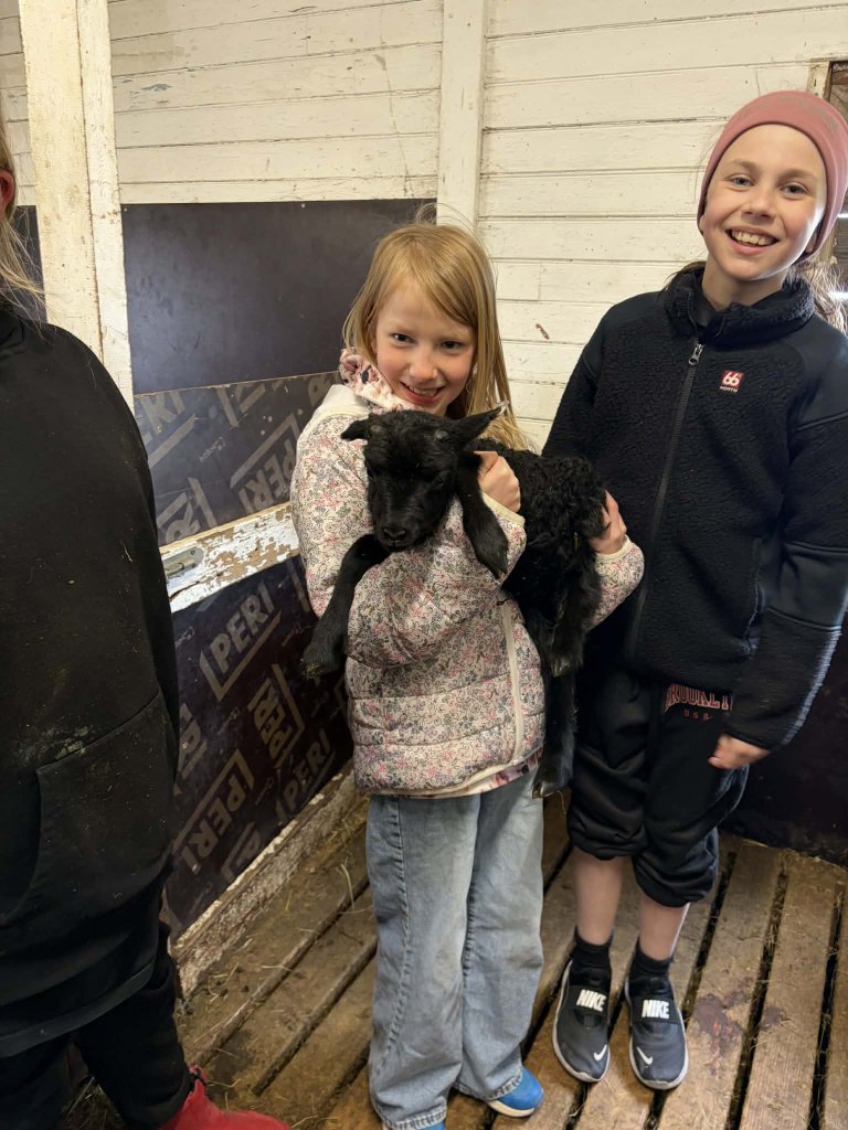 Heimsókn í fjárhúsin, 4. bekkur