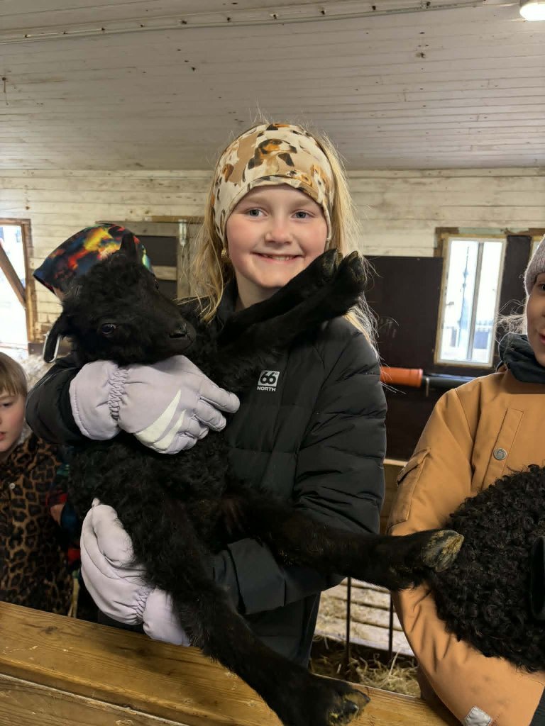 Heimsókn í fjárhúsin, 4. bekkur