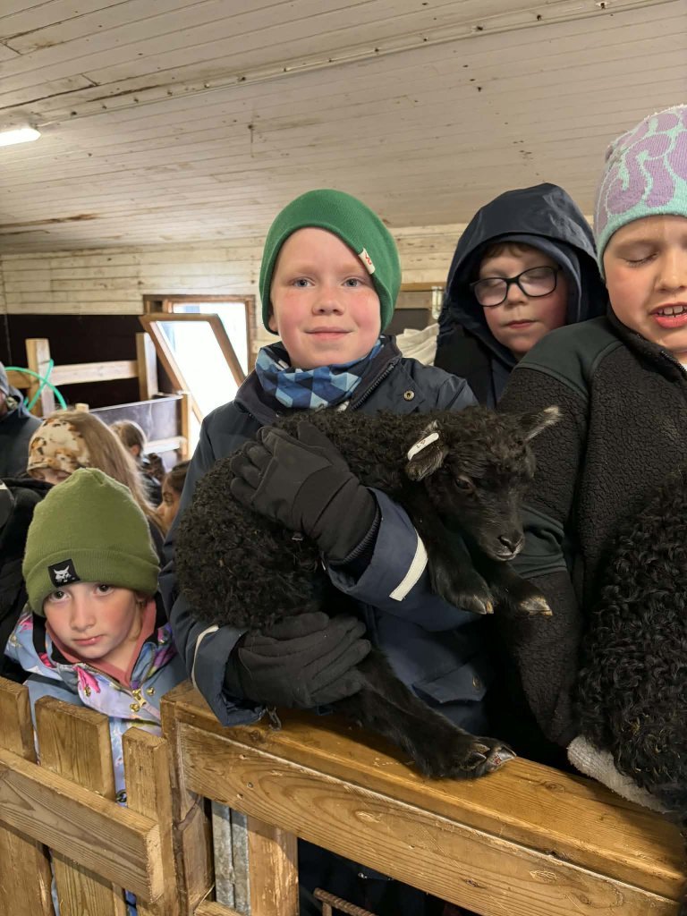 Heimsókn í fjárhúsin, 4. bekkur