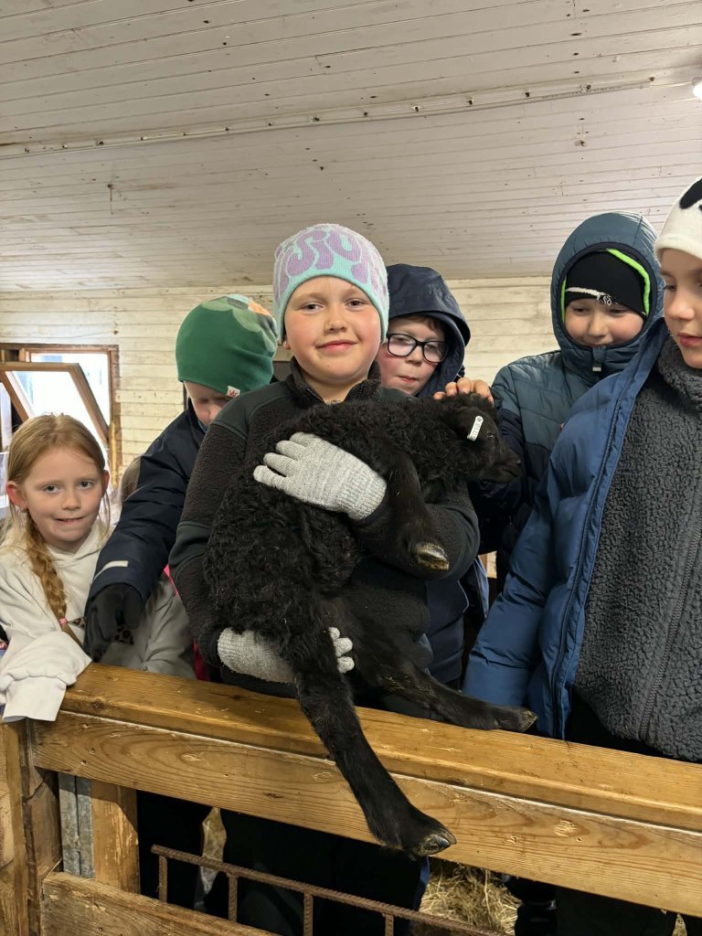 Heimsókn í fjárhúsin, 4. bekkur