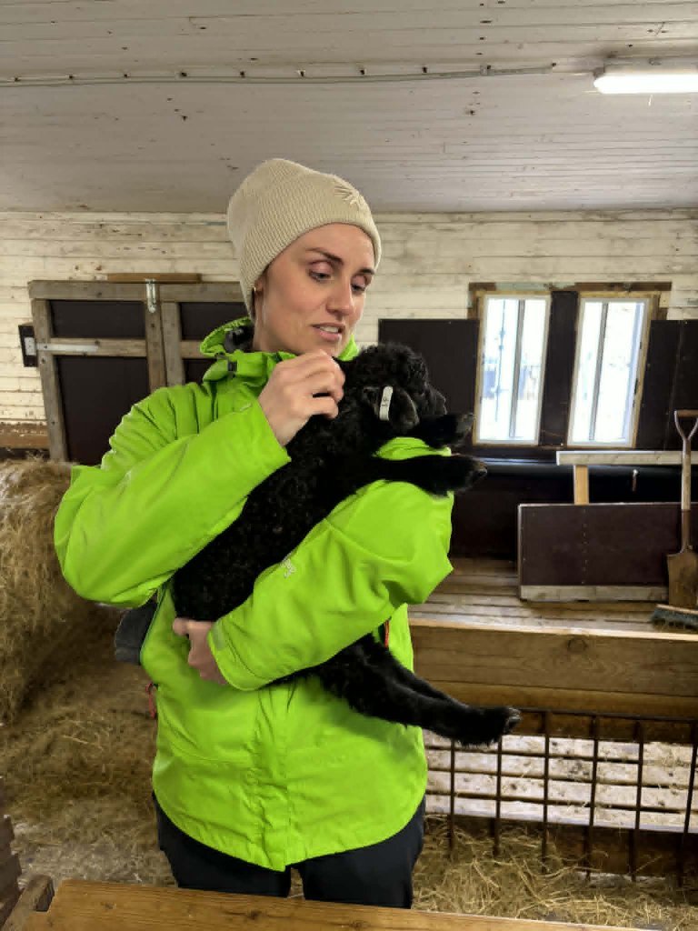 Heimsókn í fjárhúsin, 4. bekkur