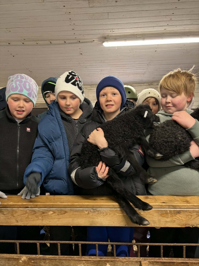 Heimsókn í fjárhúsin, 4. bekkur