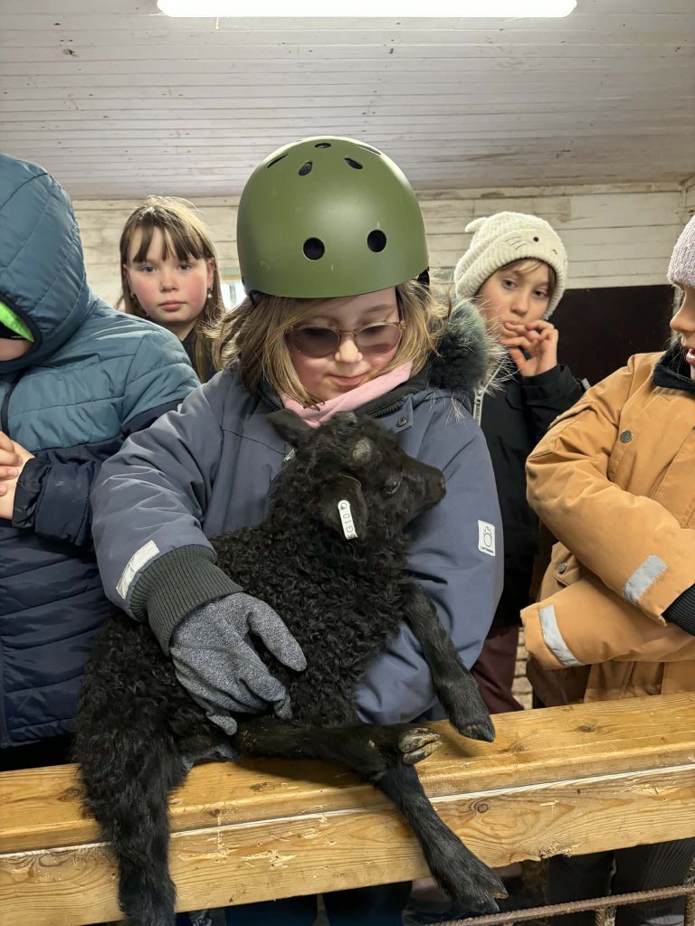 Heimsókn í fjárhúsin, 4. bekkur