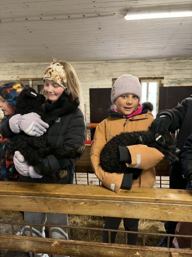 Heimsókn í fjárhúsin, 4. bekkur