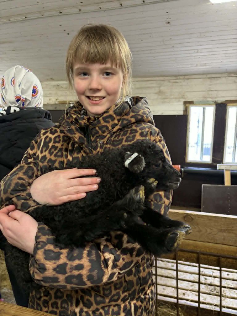 Heimsókn í fjárhúsin, 4. bekkur