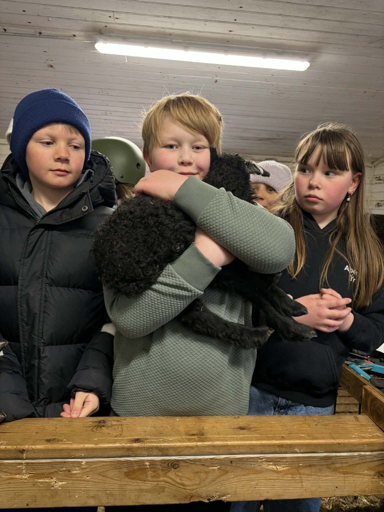 Heimsókn í fjárhúsin, 4. bekkur