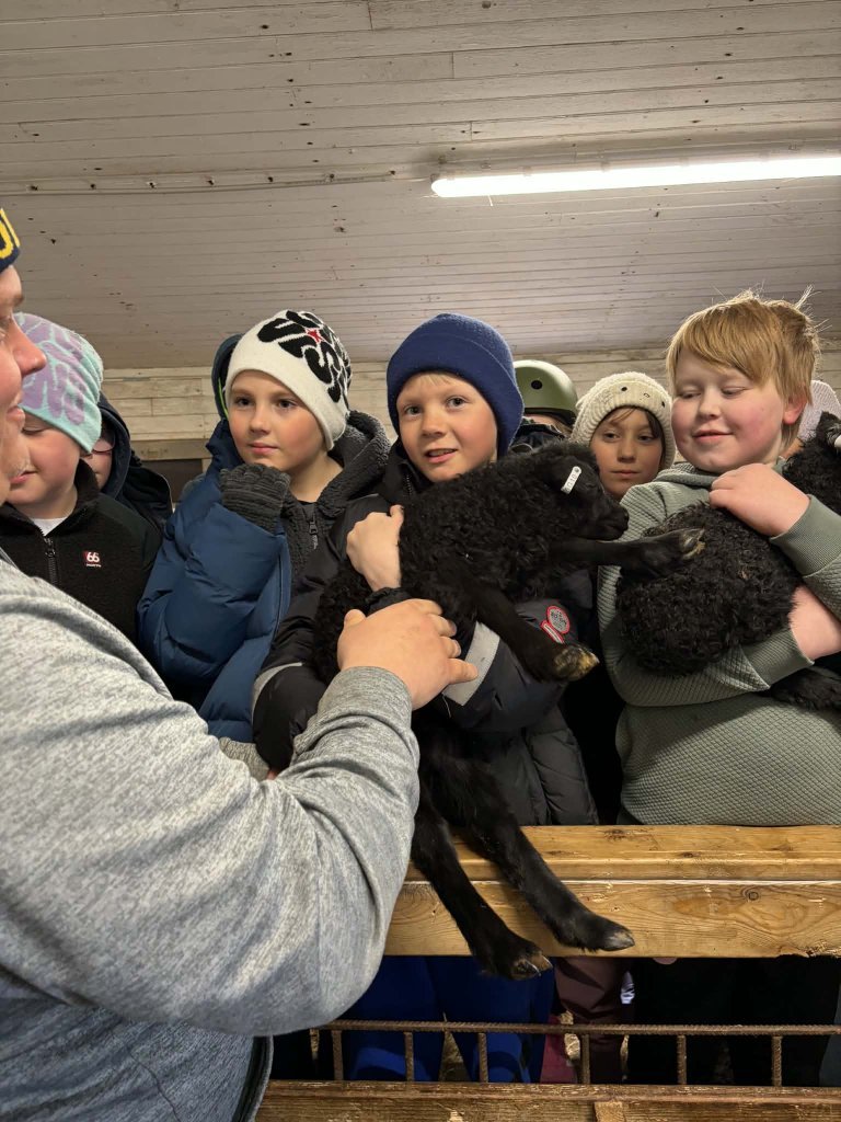 Heimsókn í fjárhúsin, 4. bekkur