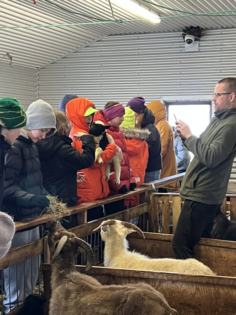 Heimsókn í fjárhúsin, 5. bekkur