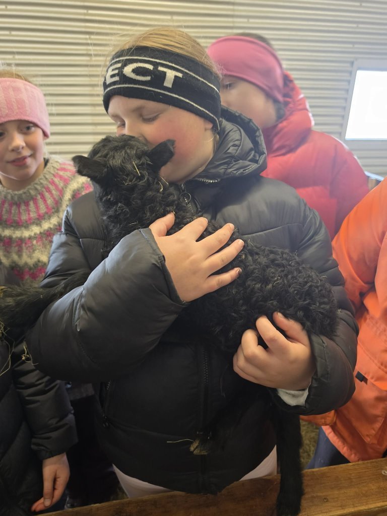 Heimsókn í fjárhúsin, 5. bekkur