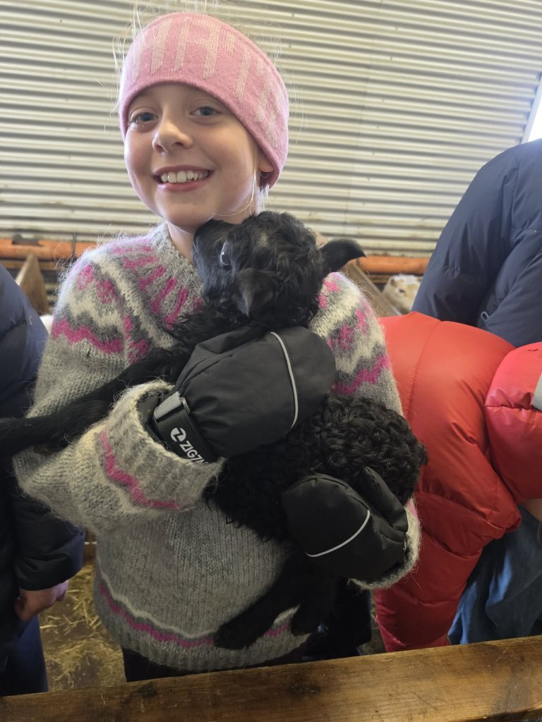 Heimsókn í fjárhúsin, 5. bekkur
