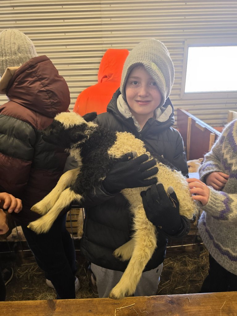 Heimsókn í fjárhúsin, 5. bekkur