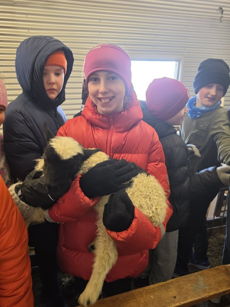 Heimsókn í fjárhúsin, 5. bekkur
