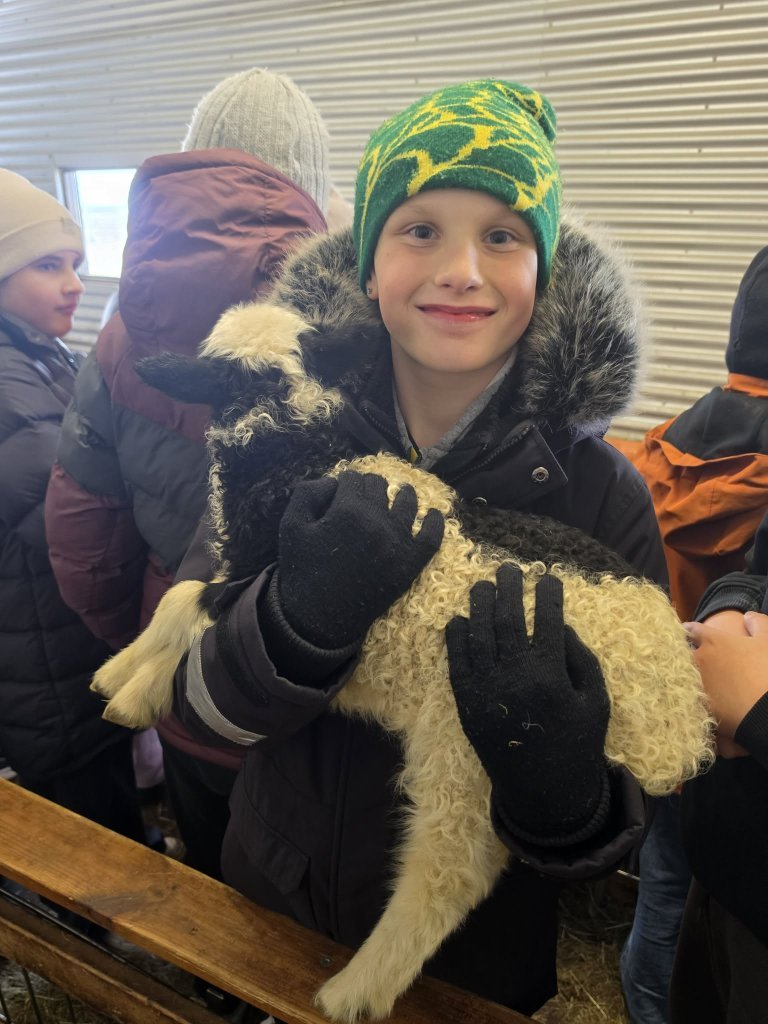 Heimsókn í fjárhúsin, 5. bekkur