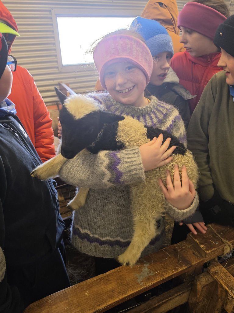 Heimsókn í fjárhúsin, 5. bekkur