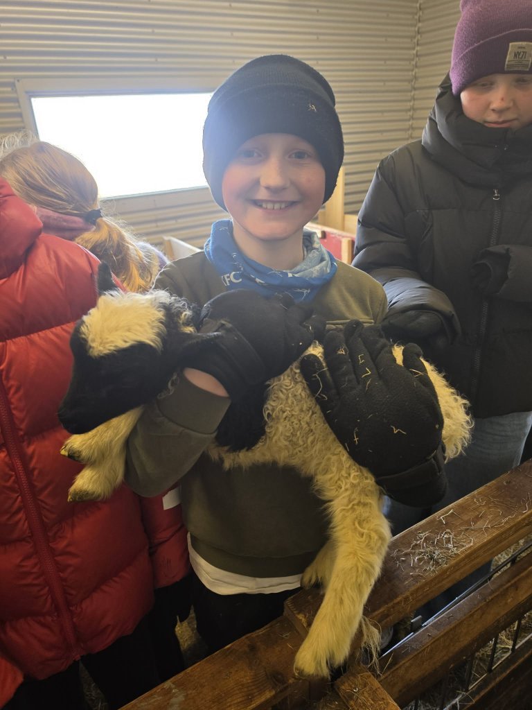 Heimsókn í fjárhúsin, 5. bekkur