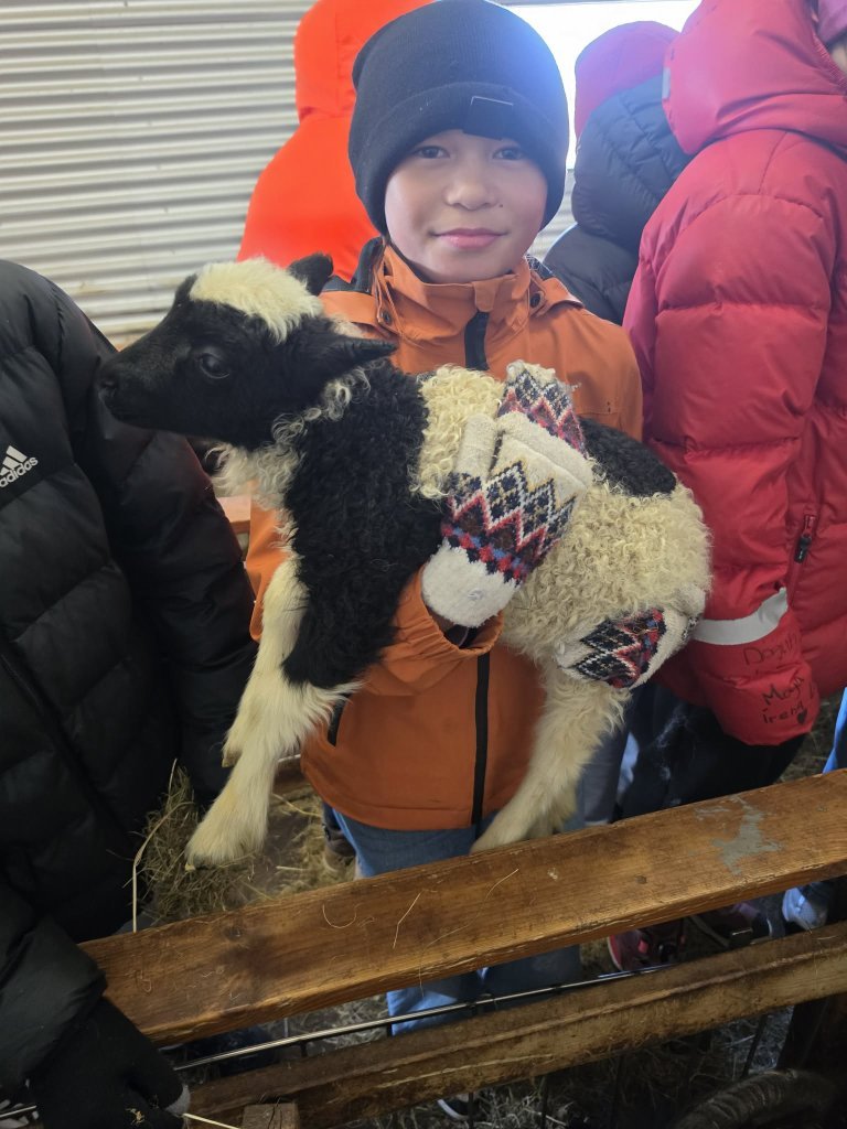 Heimsókn í fjárhúsin, 5. bekkur
