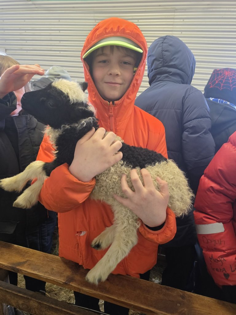 Heimsókn í fjárhúsin, 5. bekkur