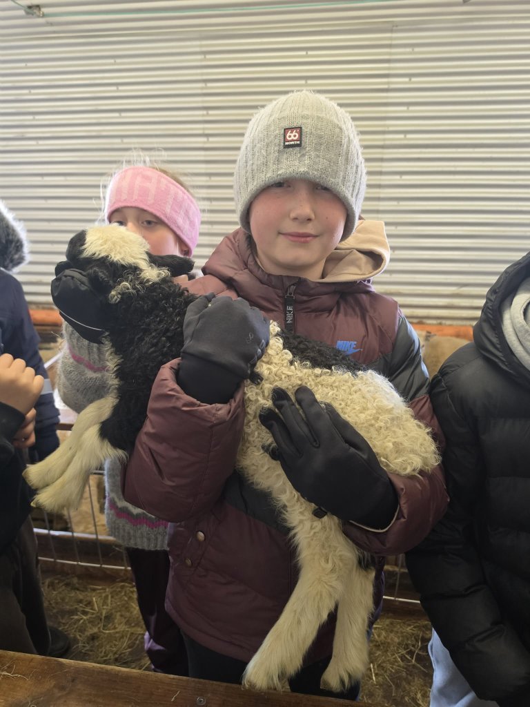 Heimsókn í fjárhúsin, 5. bekkur