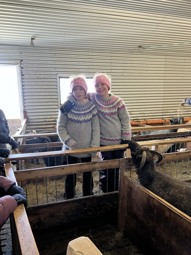 Heimsókn í fjárhúsin, 5. bekkur