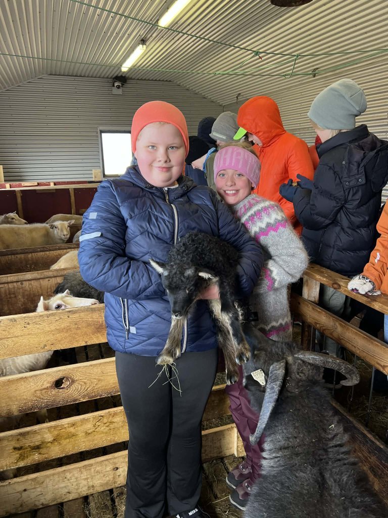 Heimsókn í fjárhúsin, 5. bekkur