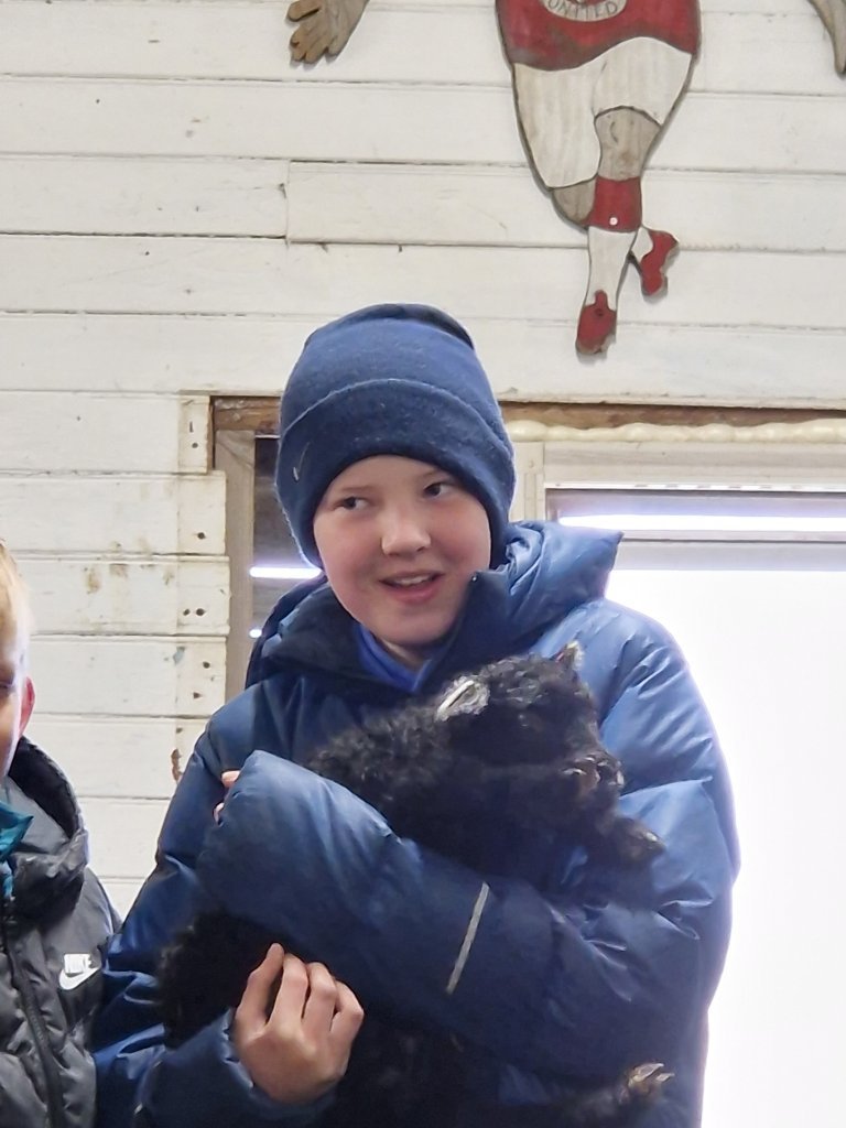 Heimsókn í fjárhúsin, 6. bekkur