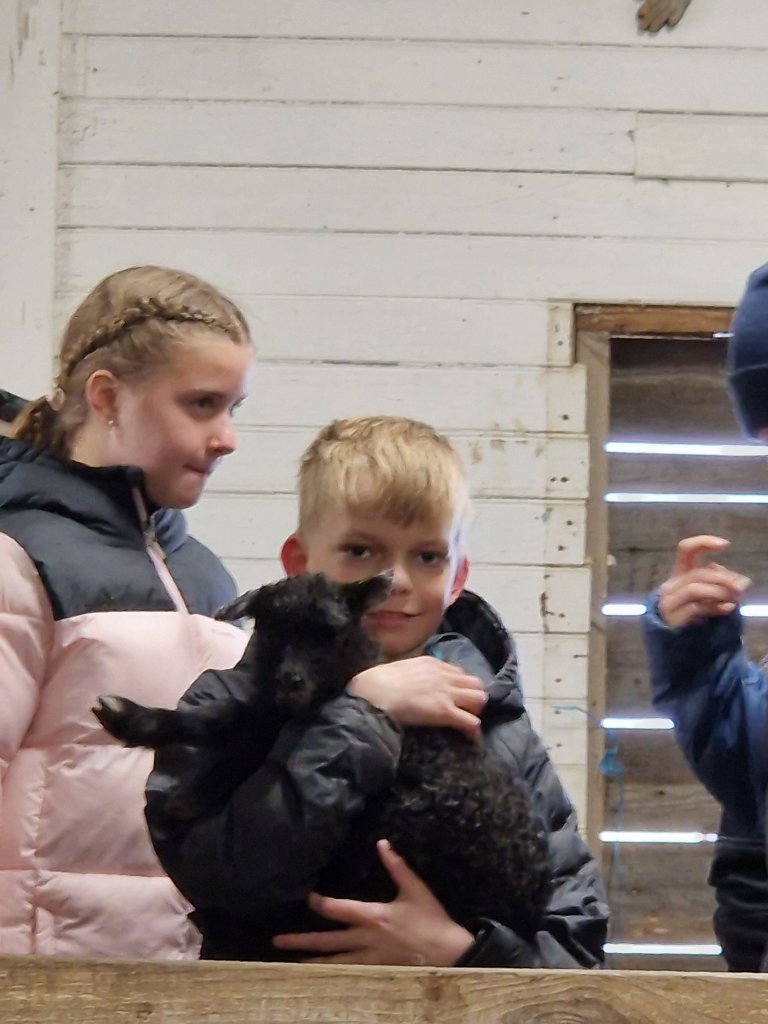 Heimsókn í fjárhúsin, 6. bekkur