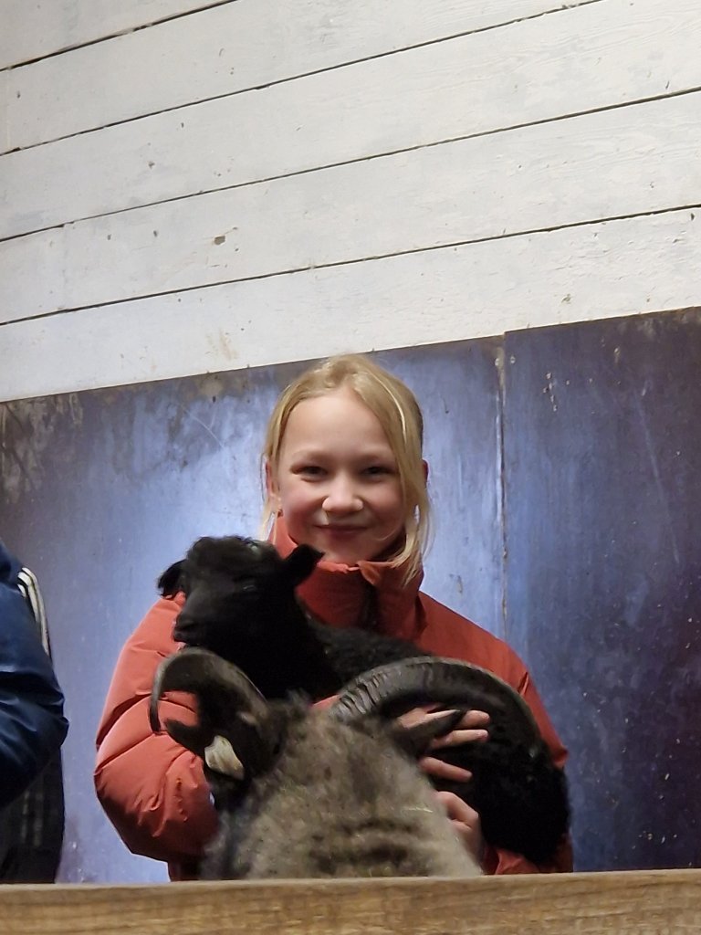 Heimsókn í fjárhúsin, 6. bekkur