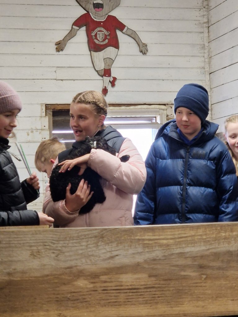 Heimsókn í fjárhúsin, 6. bekkur