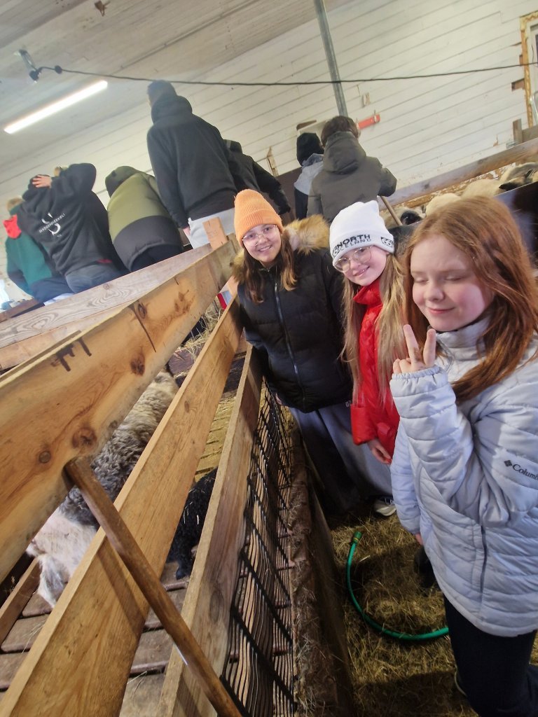Heimsókn í fjárhúsin, 6. bekkur