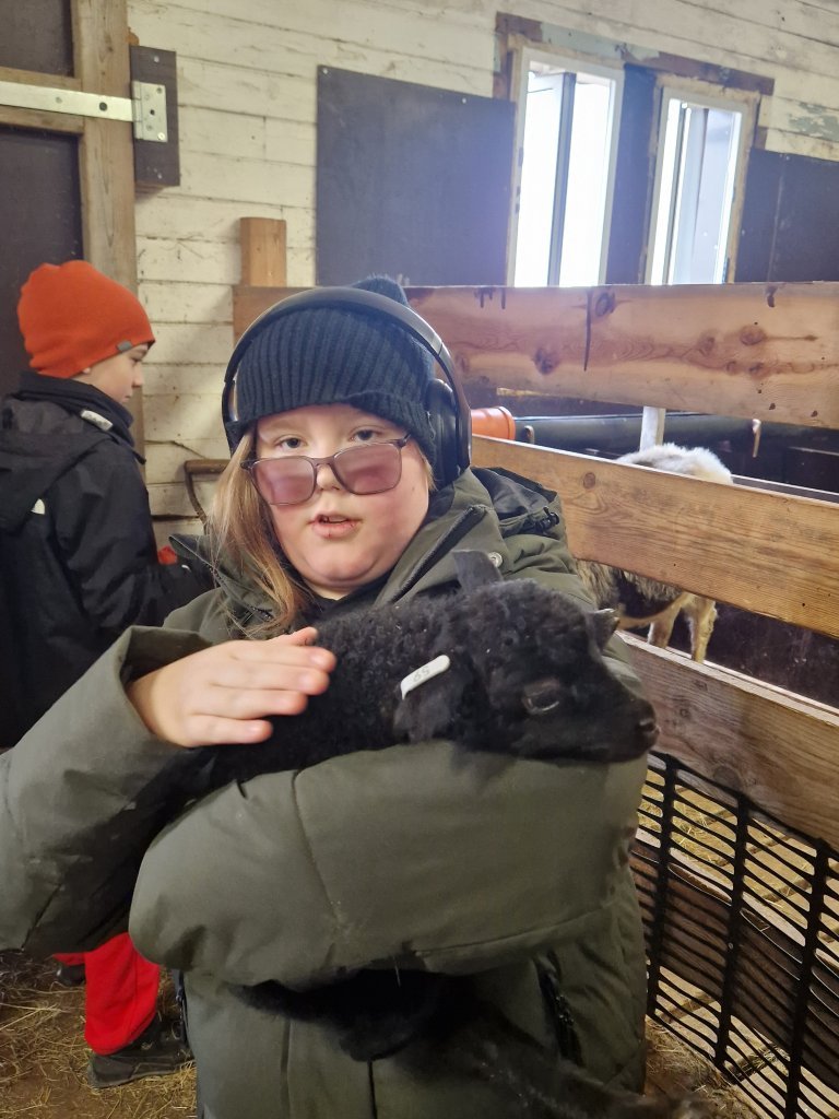 Heimsókn í fjárhúsin, 6. bekkur