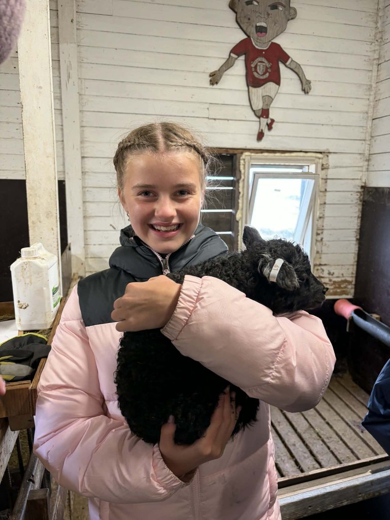 Heimsókn í fjárhúsin, 6. bekkur