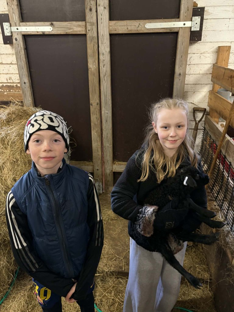 Heimsókn í fjárhúsin, 6. bekkur
