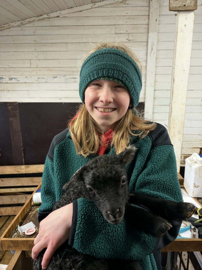 Heimsókn í fjárhúsin, 6. bekkur