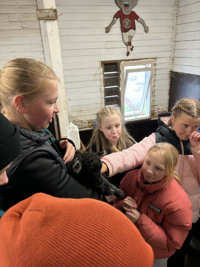 Heimsókn í fjárhúsin, 6. bekkur
