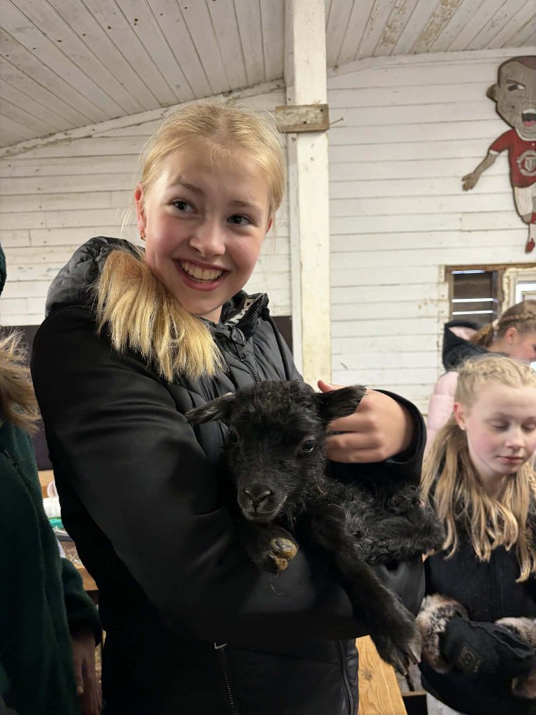 Heimsókn í fjárhúsin, 6. bekkur