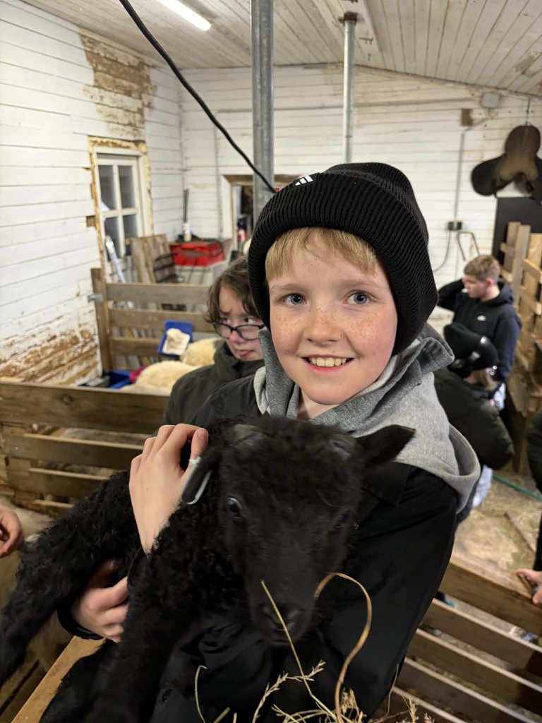 Heimsókn í fjárhúsin, 6. bekkur