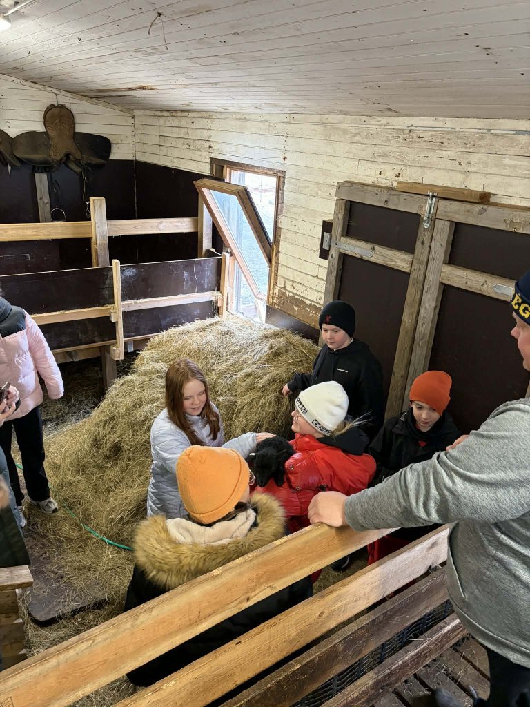 Heimsókn í fjárhúsin, 6. bekkur