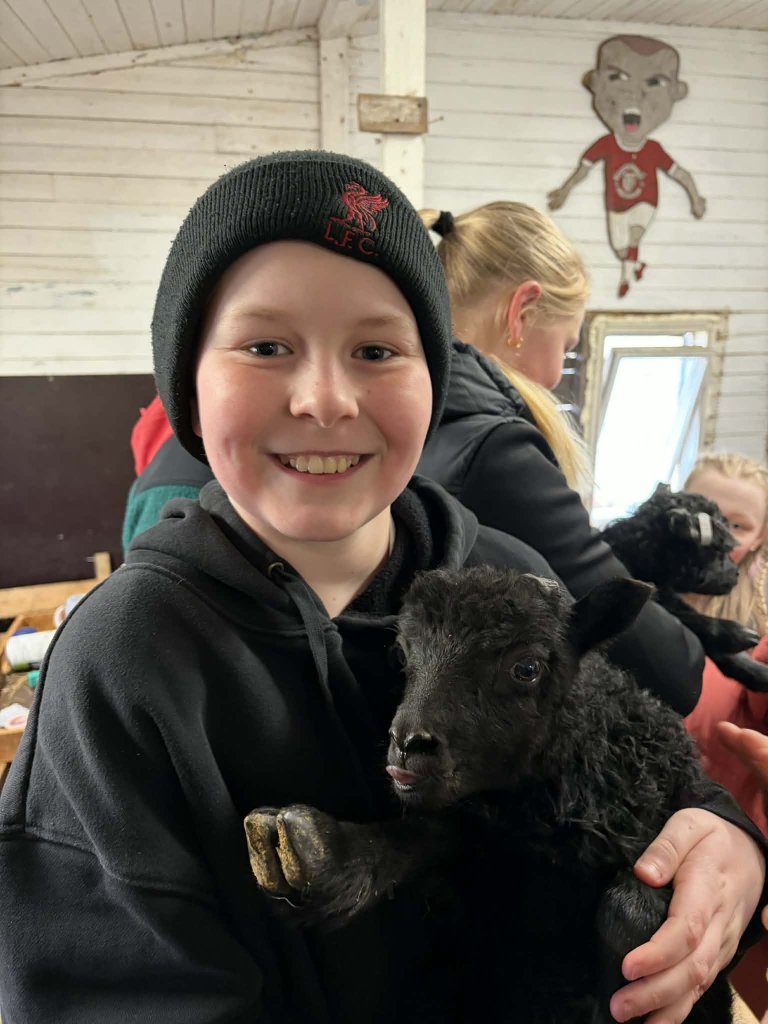 Heimsókn í fjárhúsin, 6. bekkur