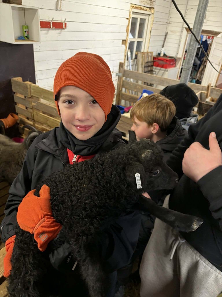 Heimsókn í fjárhúsin, 6. bekkur
